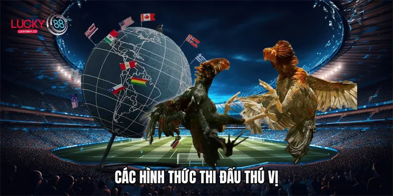 Đá Gà Cựa Dao Lucky88 - Trải Nghiệm Cá Cược Kịch Tính 2026 Các hình thức thi đấu thú vị