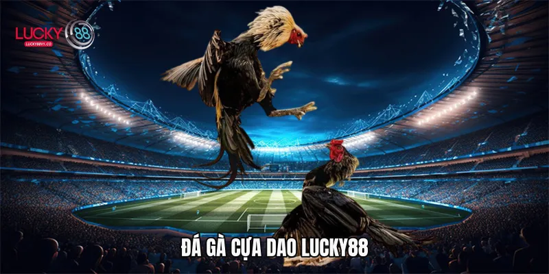Đá Gà Cựa Dao Lucky88 - Trải Nghiệm Cá Cược Kịch Tính 2026 Đá gà cựa dao