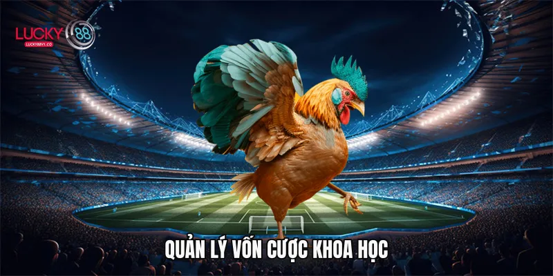 Đá Gà Cựa Dao Lucky88 - Trải Nghiệm Cá Cược Kịch Tính 2026 Quản lý vốn cược khoa học